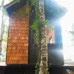 Tiny House Nueva En El Bosque A 6 Min De Pucon