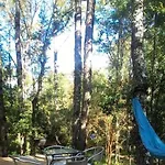 Tiny House Nueva En El Bosque A 6 Min De Pucon
