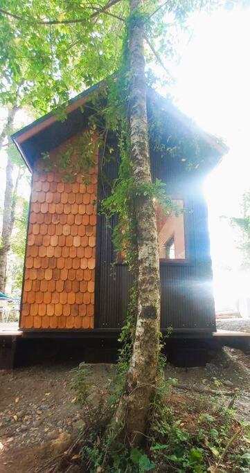 Tiny House Nueva En El Bosque A 6 Min De * Pucón
